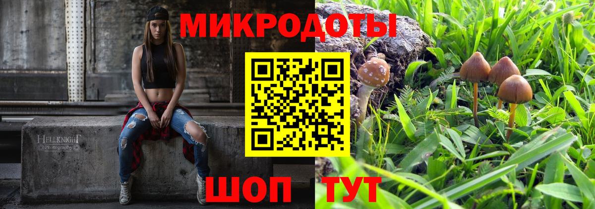 Галлюциногенные грибы ЛСД Рузаевка